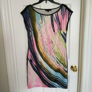 Forenza Multi Color Shift Dress (Size 4)